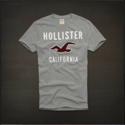 Hollister Men Shirts-421